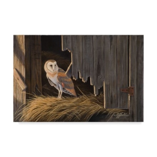 Trademark Fine Art Wilhelm Goebel 'Ready For The Hunt Barn Owl' Canvas Art, 16x24 ALI33816-C1624GG